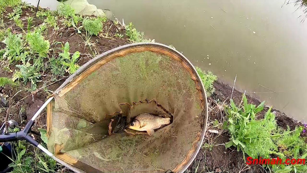 За риба през забраната - каналите на Беланица