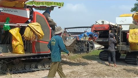 ba máy cắt lúa binh tóc độ cắt rất nhanh khi cạo lúa sục bị cò bẻ kèo tập54 #maibangtv