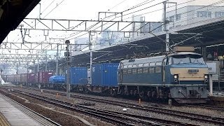 JR貨物 EF66-30 貨物列車 (1252レ ゼロロク) JR東海 名古屋駅 貨物線