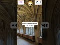 Step into the world of academic excellence and endless opportunities at Yale University 🌟