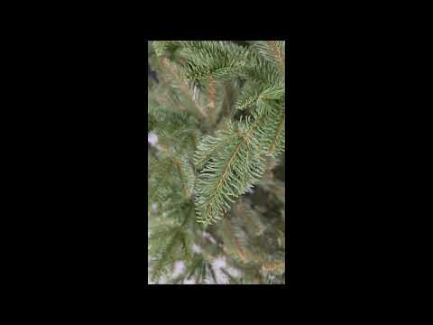 Product video