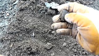 gök taşı ve Roma Bizans sikkesi bulduk maceraya devam treasure hunters Byzantine and Roman coins