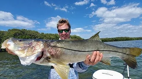 Giant Snook and Redfish Fishing - Epic Tampa Bay INSHORE FISHING