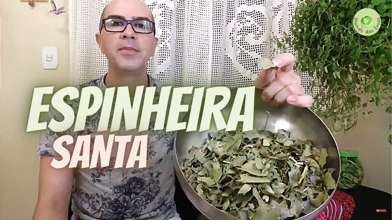 ESPINHEIRA SANTA, ela elimina o H.PYLORI e trata o Refluxo ...