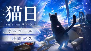1時間耐久】猫日/ヨルシカ【癒しのオルゴール】 - YouTube