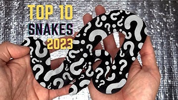 Top 10 Holdbacks 2023