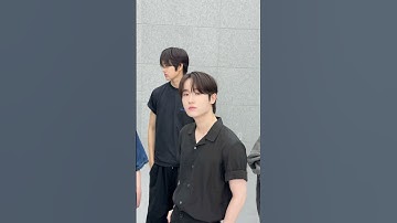 🩶😸🐰🐶🐤🐻😼🩶 #TEMPEST #템페스트 #한빈 #형섭 #혁 #은찬 #LEW #태래  #KPopDemonHunters #SajaBoys #Shorts