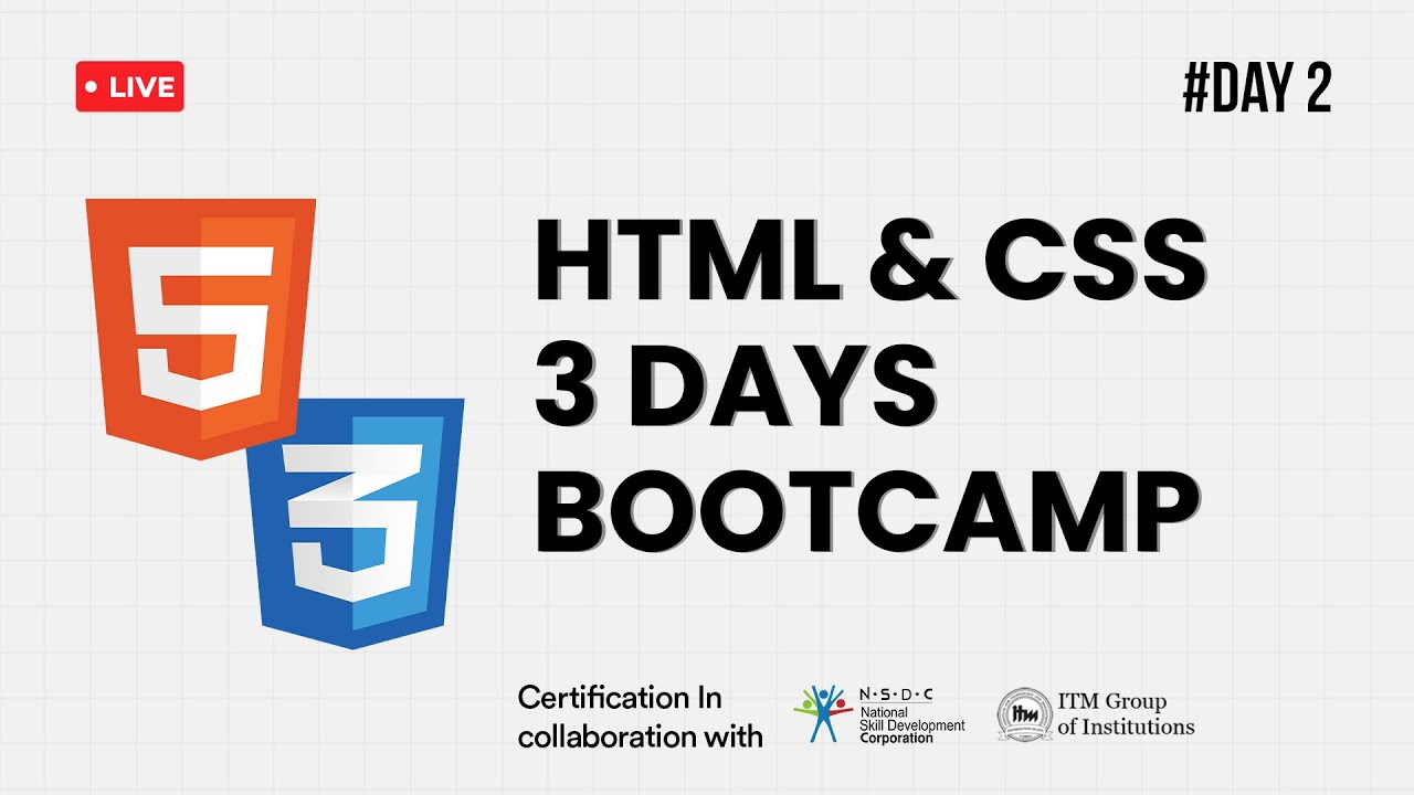 Day 2 | Styling and Layout with CSS - YouTube