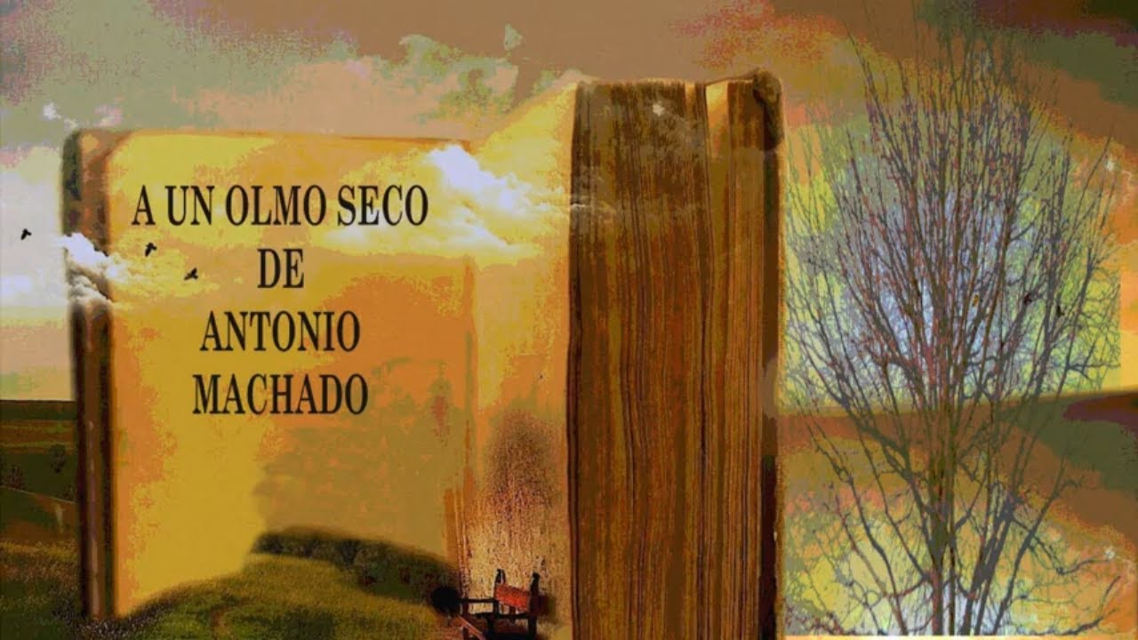 Al olmo seco algunas hojas verdes le han salido ((De Antonio Machado ...