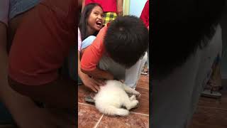 #throwback #funny #prank #dog #vlog #subscribe #supportmychannel #like #share #comment #dailyvlog