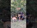 🐶🎹🌿 #เพลงไทย