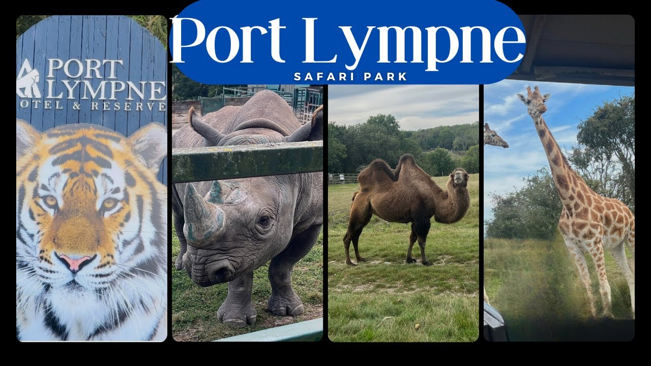 port lympne safari youtube