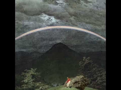Plum - Wash Out