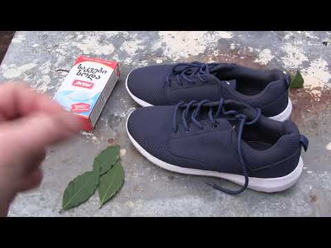 სოკო რომ არ ავიკიდოთ მეორადში ნაყიდ ფეხსაცმელზე  რა უნდა ვიცოდეთ