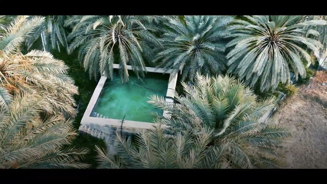 مـزرعة سـالم الحَنظلي