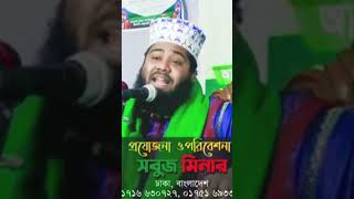 Asadullah saifi || আসাদুল্লাহ সাইফী short video