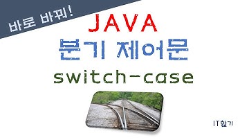 [JAVA] 제어문(분기) - switch-case문 이해하기