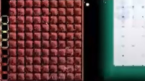 8 LINE TETRIS CLEAR into DECAHEXATRIS