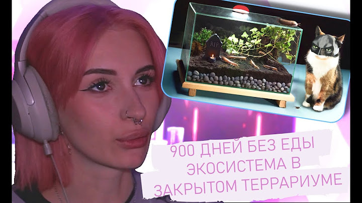 НЕЛЯ РЕЙ СМОТРИТ: 900 ДНЕЙ БЕЗ ЕДЫ - ЭКОСИСТЕМА В ЗАКРЫТОМ ТЕРРАРИУМЕ I ПОСЛЕДНЕЕ ВИДЕО | SlivkiShow