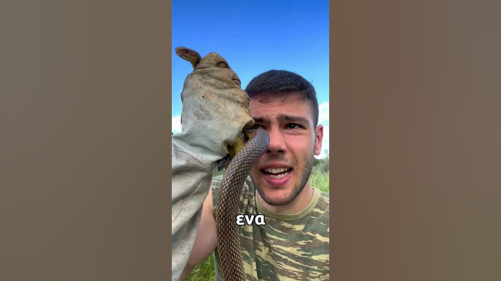 ΠΩΣ ΜΥΡΙΖΕΙ ΤΟ ΦΙΔΙ🥵