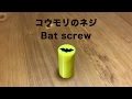 コウモリのネジ　Bat screw