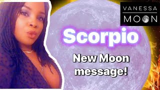 Information Scorpio ♏️: Heads will roll! This win is personal & someone’s soft spot for you🫵🏾 is too sweet😻weak! News