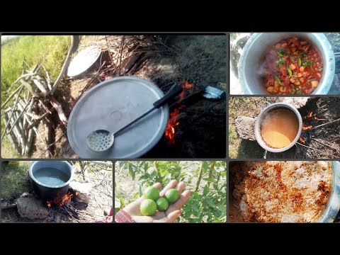 वीडियो: गाँव की शैली में लोबियो पकाना