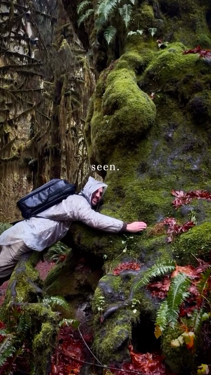 #JasonDeruloTV // Nature ? #GotPermissionToPost From IG @christian.the.creative #GladUCame