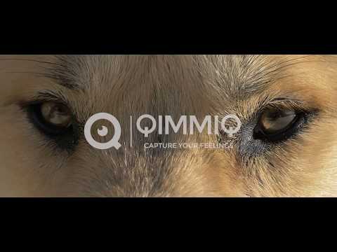 Découvrez l'univers QimmiQ et retrouvez tous nos produits sur www.qimmiq-360.com