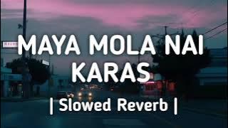 माया मोला नै करस गा |Maya mola nai karas ga | Slowed Reverb | cg lofi song