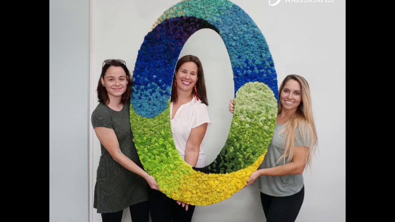 Moss Wall Time-lapse Video