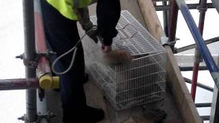 MOV02498.MPG