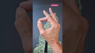 CHIN/JNANA MUDRA simple y poderoso #yogadiario #fueraprocastinacion #meditacion