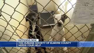 Humane Society of Elmore County needs your help