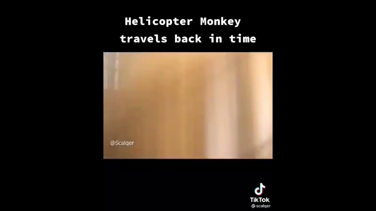 Helicopter Monkey 🚁🐒