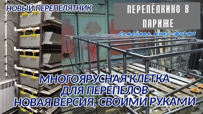 Мастерим клеточную батарею несушкам