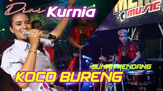 DINI KURNIA - KOCO BURENG ALBUM POK AME AMEE