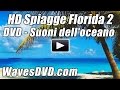 Spiagge di FLORIDA HD 2 dei suoni rilassanti di onda onde DVD migliore relax di spiaggia Oceano