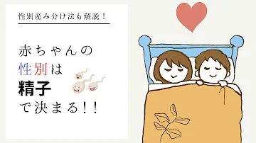 が変わってロリ美少女になった性別男の子は が変わってロリ美少女になった性別男の子は