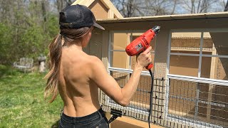 The Problem with Almost Every Chicken Coop and What I Did to Fix It