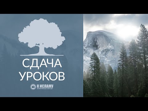 Программа «Сдача уроков». Вступительное слово