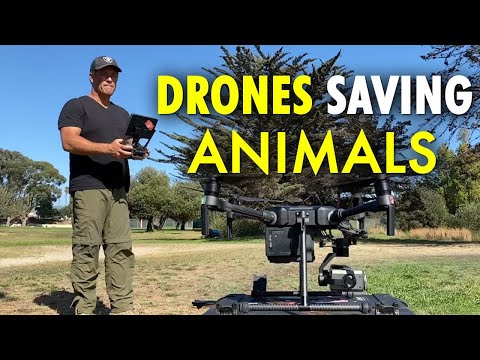 Tech It Out: Rescuing hundreds of animals using drones