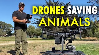 Tech It Out: Rescuing hundreds of animals using drones screenshot 1