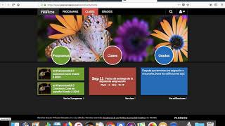 Envision Math Access