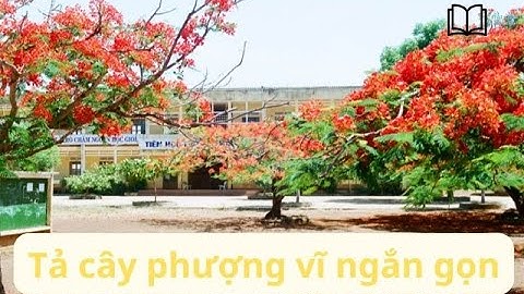 Bài văn hay tả về cây phượng lớp 6 năm 2024