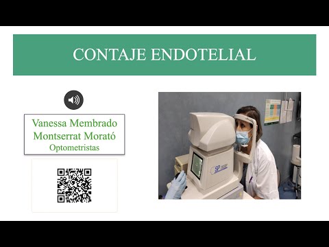Vídeo: Revisión: Métodos De Derivación De Células Endoteliales Corneales De Células ES / IPS