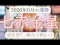 【占い】2026年5月後半~6月!七赤金星さんの運勢|ここだけが本当に要注意!二極化の始まり!よくよく見極めて!