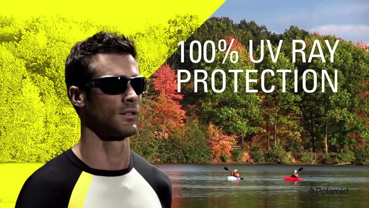 Polaroid Sunglasses  Perfect Vision