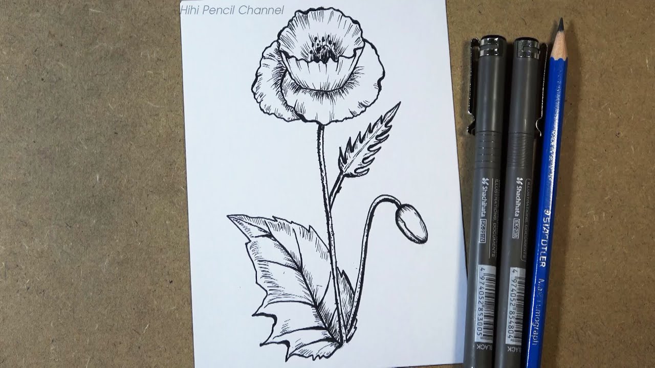 How to draw Poppy Flower | Pen drawing | Hihi Pencil
