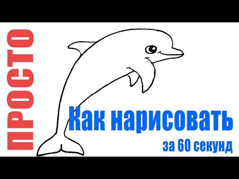 Video: Англисче дельфинди кантип айтууга болот